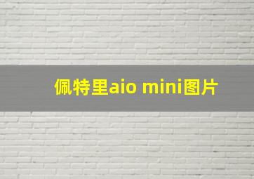 佩特里aio mini图片